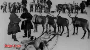 Ответ доблестному Орлу от трудового Ямала