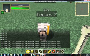 Моё первое видео. Обзор модов (Doggy charm)