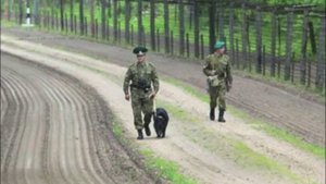 Зеленые погоны. Пограничная