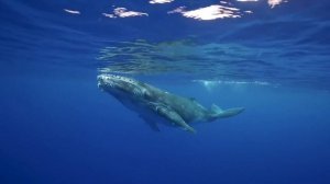 "Насколько это важно?". 5 декабря. Сегодня-лучший путь. Ежедневник для созависимых.