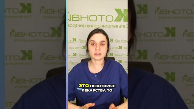 Опасные лекарства для кошек| что нужно знать