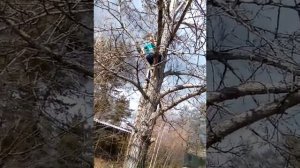 Упал с дерева :))