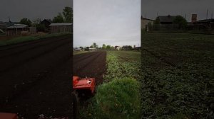 пахота огорода шифенг 244 и небольшой обзор почво фрезы!