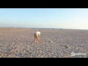 Бекхем забивает в бочки на пляже