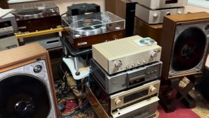 От слона уши Yamaha ns 250