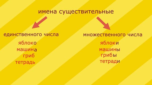 Единственное и множественное число имён существительных