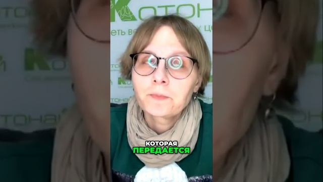 Что такое бартонеллез|  Узнайте о болезни кошачьей царапки