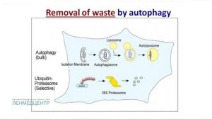 Лечение РДТ