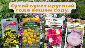 Сухой букет круглый год в вашем саду.💐