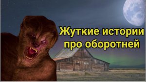 Жуткие истории про оборотней