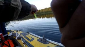 Хозяин тайги всю рыбу распугал! Взятие порогов! (1)