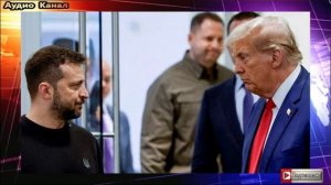 Зеленский заявил о готовности Киева сотрудничать с администрацией Трампа