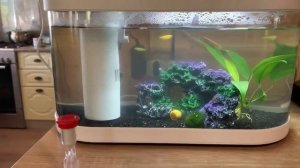 Запуск аквариума Xiaomi