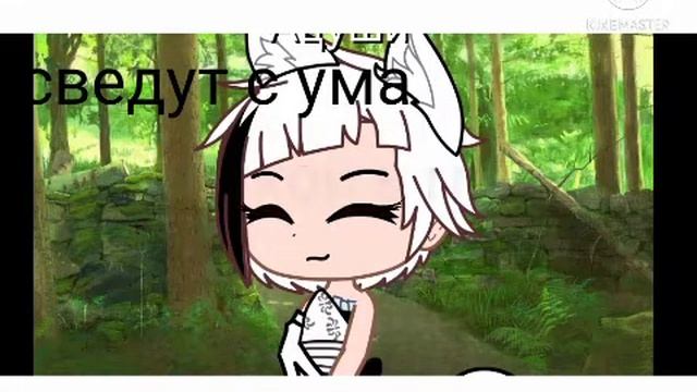 клип BSD охота на лису смотреть онлайн