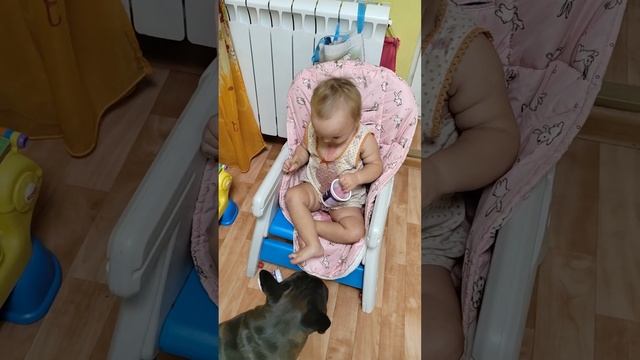 #супернастуся #солнечныймалыш #синдромдауна #downsyndrome #винтик #французскийбульдог #frenchbuldog