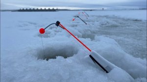 Зимняя рыбалка на корюшку | Ловля корюшки на Финском заливе | Февраль 2022