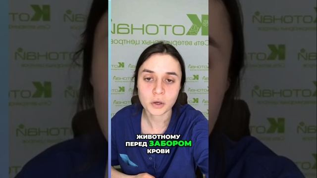 Что нельзя давать животным перед забором крови