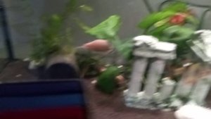 новый аквариум