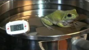 27_Boiling Frog Syndrome - Have You Become a Boiled Frog - YouTube