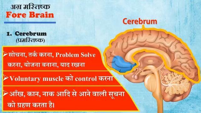 Newton global science academy jintur смотреть онлайн