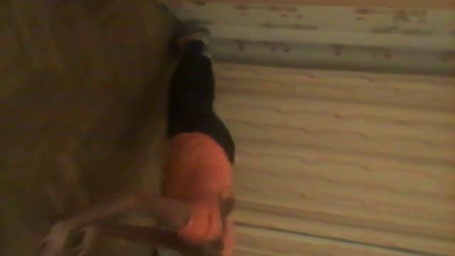 Тотальная эволюция фитнесхаус. Контрольное задание 1. смотреть онлайн