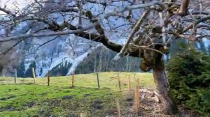 Гиммельвальд, Швейцария. Невероятно красивая горная деревня. Чудесная деревня в Альпах