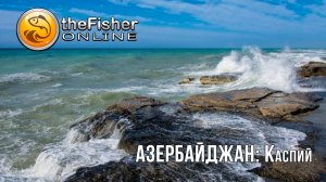 Fisher Online - Азербайджан: Каспий - за бронзовым трофеем #21