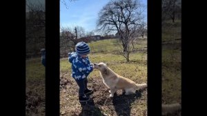 День домашних животных🐶 в группе "Курносики" Кравцова О. В. Тараненко О. К.👍