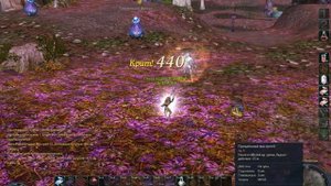 AION 3.0 PVP Лук