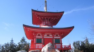 Краснодар. В Японском саду парка Галицкого зимой 2024