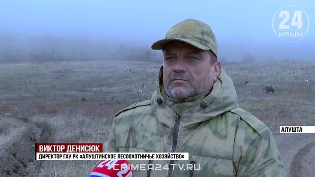 В районе Ангарского перевала завершают обустройство Большой Крымской тропы