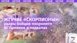 Боевики горят заживо в подвалах – красивая работа «Скорпионов» на Херсонском направлении