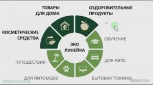 Менетизация клиентов по новой технологии. Описание магазина 241130