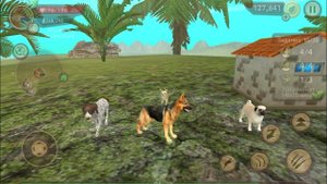 Dog sim ситуации дог сима топ 5 ситуаций в Dog sim (ТИПЫ ИГРОКОВ В Dog sim)