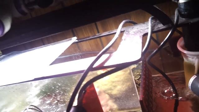 120 Mixed Reef After Tranfer from 40 Breeder смотреть онлайн