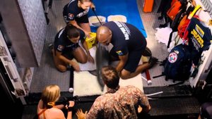 История дельфина 2