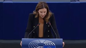 Австрийский политик: Вы все ЧОКНУЛИСЬ