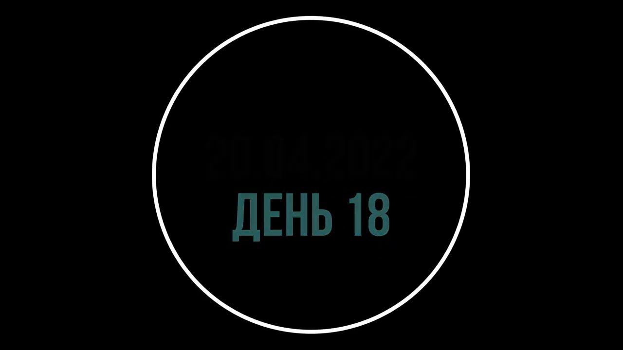 20 апреля день 18 щенки играют