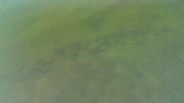 Выходной день а рыба вся стоит) смотреть онлайн