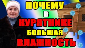 Почему в КУРЯТНИКЕ большая ВЛАЖНОСТЬ. Можно ли  курам ГУЛЯТЬ ЗИМОЙ.