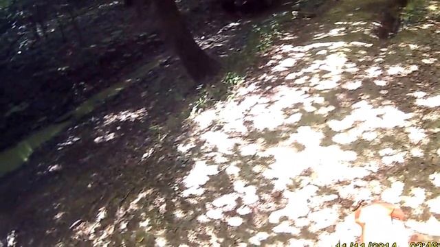 покатушки в Сочи село прогресс