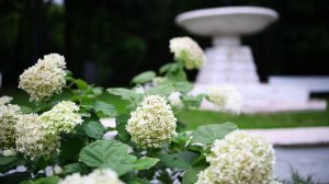 Тест объектива Tamron SP 35mm f/1.4 Di USD