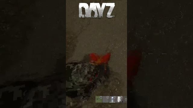 Он меня заживо грызёт #dayz #taratorkaplay