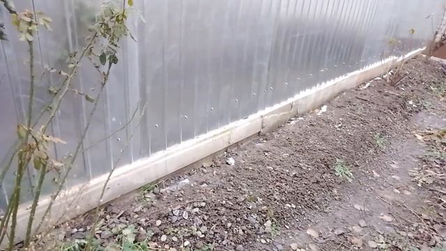 Наконец-то установилась морозная погода #4декабря #2023год #-2° #мороз #морозно #пасмурно
