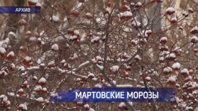 В Оренбуржье пришли мартовские морозы смотреть онлайн