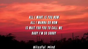 Rebzyyx all i want is you Lyrics ft hoshie star