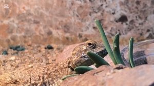 Минский зоопарк