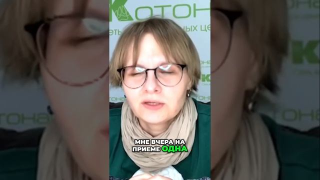 Обработка питомцев от эктопаразитов|важность защиты