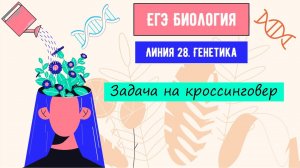ЕГЭ Биология. Задание 28. Задача на кроссинговер