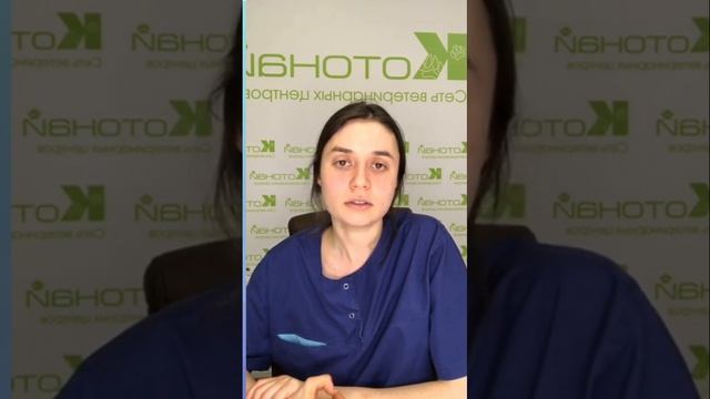 Переливание крови| Все, что нужно знать о диагнозе